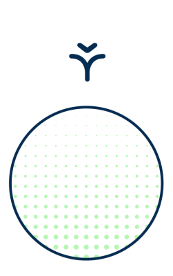 Agricultural revolution